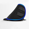 Vertical Ergonomic Snail RGB Anti-Mouse Hand Wired Mouse